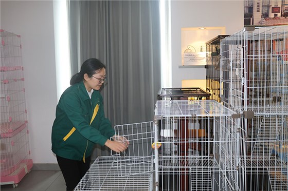 狗籠子批發