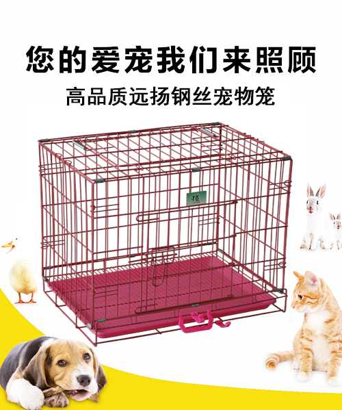 鋼絲狗籠子 粉塑YD100 PP底盤